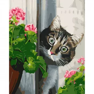 Картина за номерами Котик та рожева герань