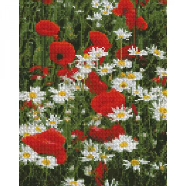 Алмазна мозаїка Маки та ромашки
