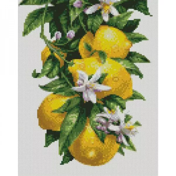 Алмазна мозаїка Лимони