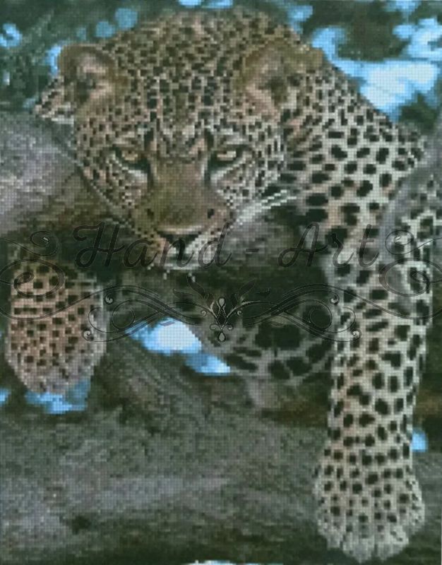 Алмазна картина  Леопард на відпочинку